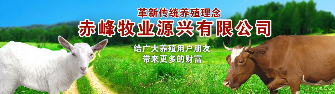 行業(yè)新聞